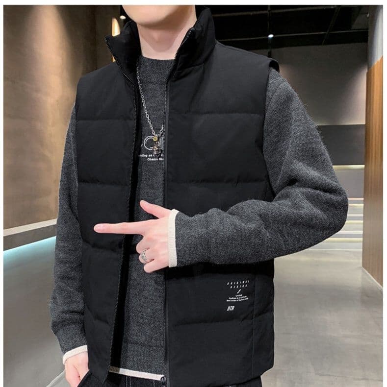 ベスト メンズ ダウン スタンドカラー ダウンベスト