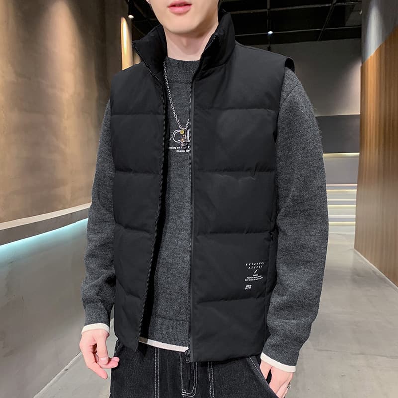 ベスト メンズ ダウン スタンドカラー ダウンベスト